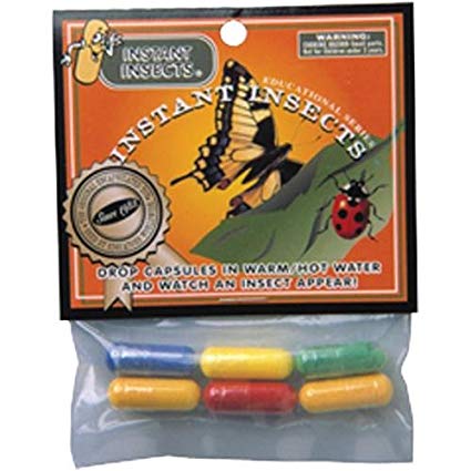 Toysmith - Instant Insects 6 Capsules (3361)